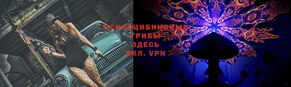 ешки Аркадак