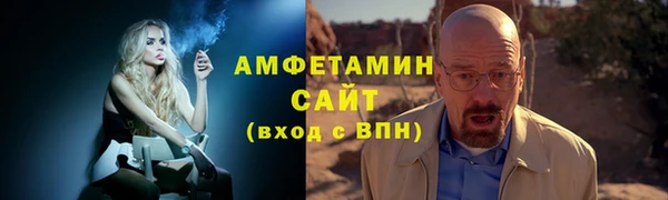 ешки Аркадак