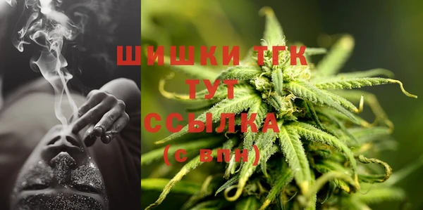 ешки Аркадак