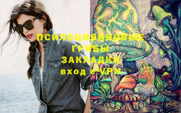 ешки Аркадак